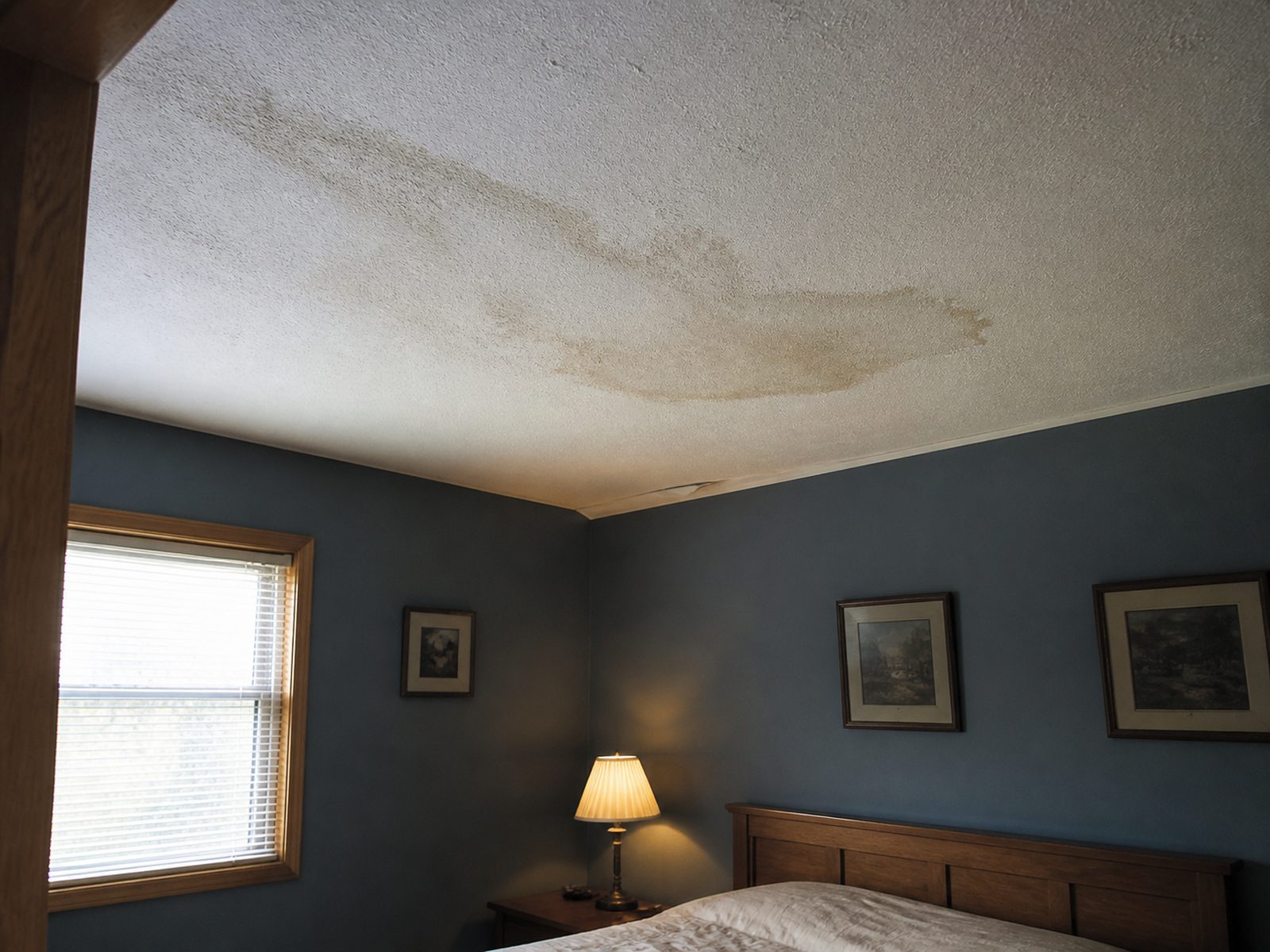 Irregular water stain spreading across a textured residential ceiling
