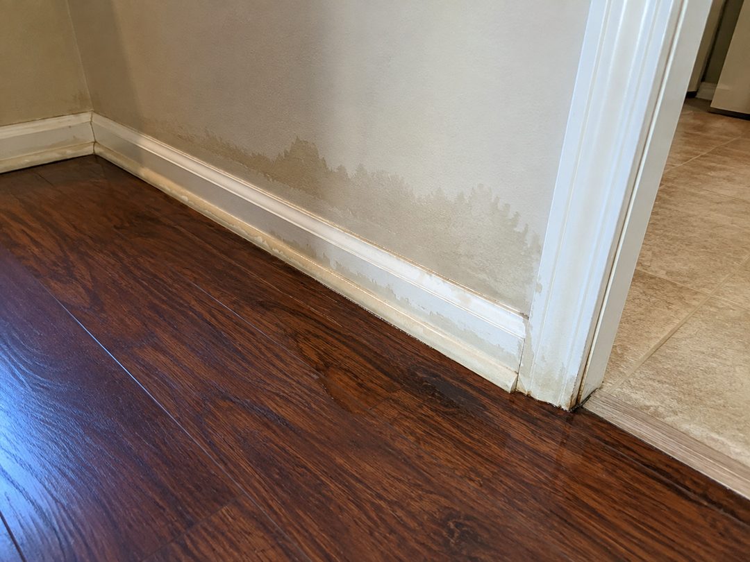 Recent moisture darkening a baseboard, lower drywall, and adjoining floor