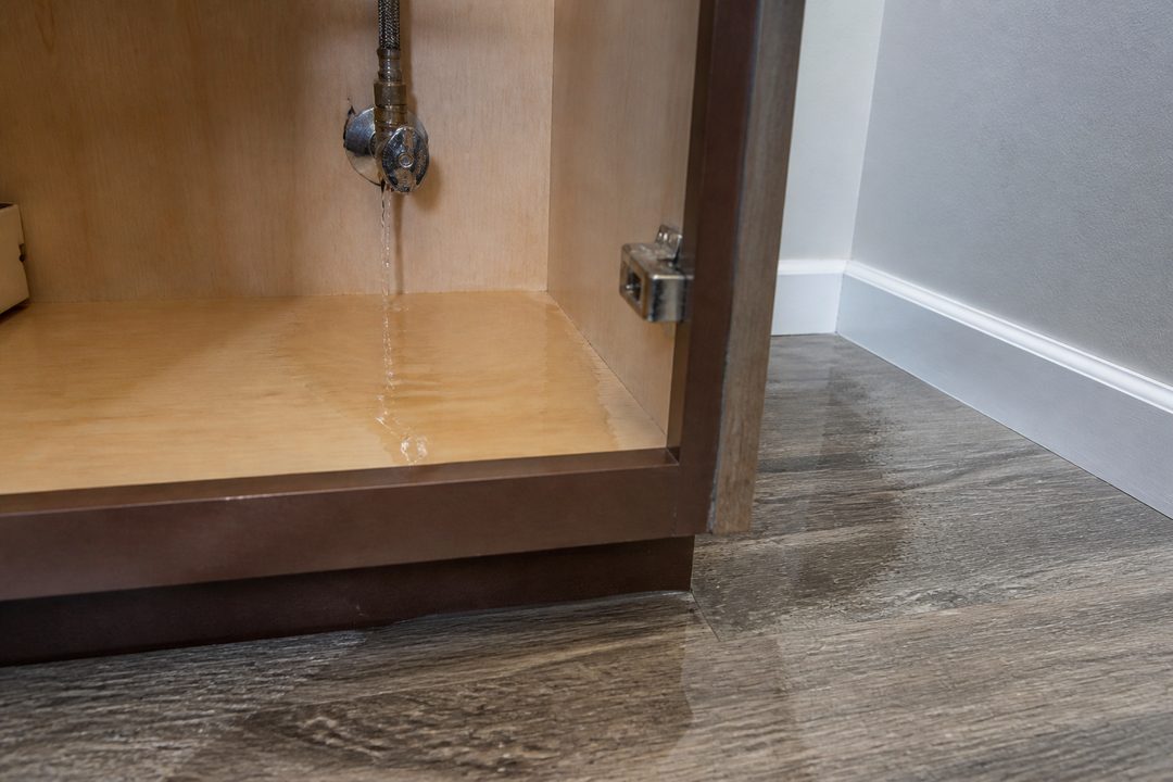 Clean water leaking from a supply-line shutoff into an under-sink cabinet
